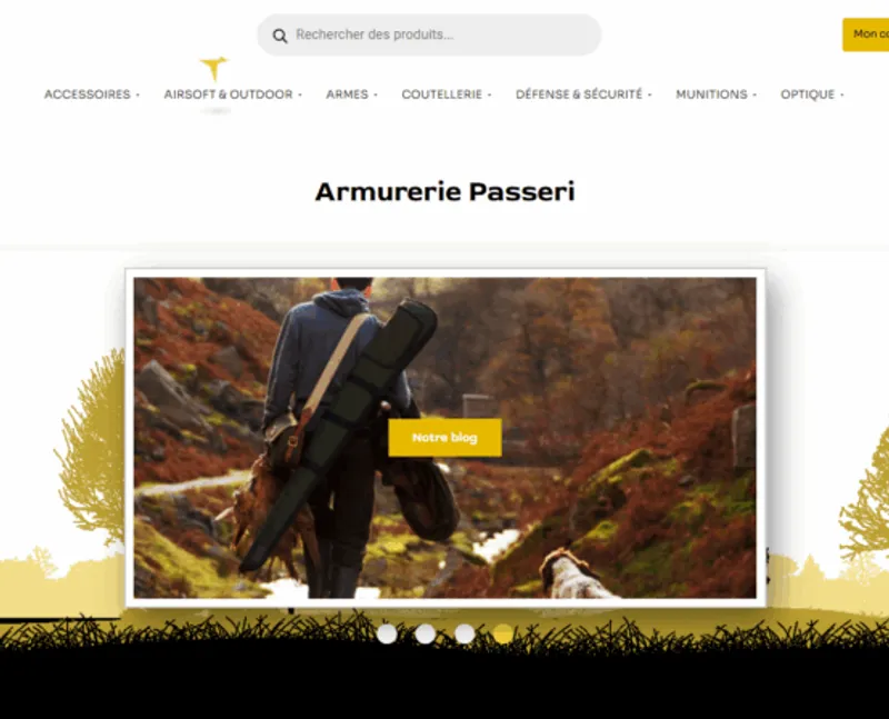 Capture d’écran du site Armurerie Passeri