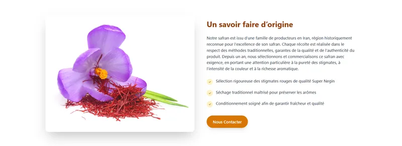 Capture d’écran du site OR DE LA TERRE